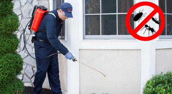 Çorum Akrep İlaçlama böcek ilaçlama ve haşere kontrolü — ilaclama-tr.com